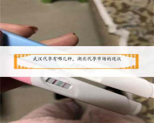 武汉代孕有哪几种，湖北代孕市场的现状